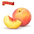 Realistic Ripe peaches, whole and slice. Peach juicy sweet fruit realistic 3d vector