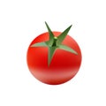 Realistic ripe tomato vector design Royalty Free Stock Photo