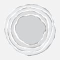 Realistic Ripped Paper Circle Elements