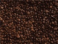 Realistic roasted Coffee beans vector