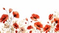 Realistic And Romantic Red Poppies On A White Background In Intricate Floral Arrangements