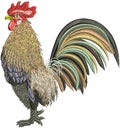 Big realistic rooster -