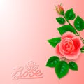 Realistic rose with bud and artistic inscription.