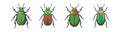 Realistic Rose Chafer Colorful Illustration Royalty Free Stock Photo