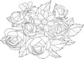 Realistic rose and daisy flowers bouquet sketch template.