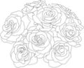 Realistic rose flower bouquet graphic sketch template. Valentines day and wedding vector illustration Royalty Free Stock Photo