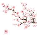Realistic sakura blooming flowers. EPS 10 Royalty Free Stock Photo