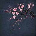 Realistic sakura blossom on grang background.