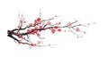 Realistic sakura blossom - Japanese cherry tree isolated on white background. Artistic branch sakura blossom. Vector Royalty Free Stock Photo