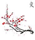 Realistic sakura blossom - Japanese cherry tree