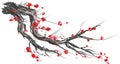 Realistic sakura blossom - Japanese cherry tree isolated on white background Royalty Free Stock Photo