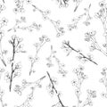 Realistic sakura blossom - Japanese cherry tree seamless pattern isolated on white background. Hand drawn blooming branch - Vector Royalty Free Stock Photo