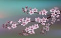 Realistic sakura japan cherry branch with blooming flowers. Nature background with blossom branch of pink sakura flowers. Template