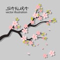 Realistic sakura japan cherry branch with blooming flowers