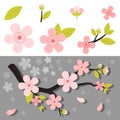 Realistic sakura japan cherry branch with blooming flowers Royalty Free Stock Photo