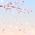 Realistic sakura japan cherry branch with blooming flowers vector illustration Royalty Free Stock Photo
