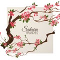 Realistic sakura japan cherry branch with blooming flowers vector illustration