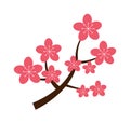 Realistic sakura japan cherry branch with blooming flowers vector illustration. Royalty Free Stock Photo