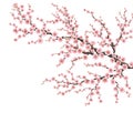 Realistic sakura japan cherry branch. EPS 10 Royalty Free Stock Photo