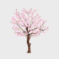 Realistic sakura tree. Blossom cherry in spring garden, branch pink flowers and leaves japanese nature flora, blooming Royalty Free Stock Photo