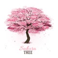 Realistic sakura tree Royalty Free Stock Photo