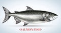 Realistic Salmon Background