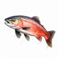 Realistic Salmon Drawing On White Background Royalty Free Stock Photo