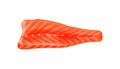 Realistic Salmon Fillet