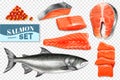 Realistic Salmon Set
