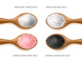 Realistic salt types. Cooking crystals and powder, different sea natural product in woden spoon, organic dry grains top