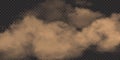 Realistic sand cloud with stones and dirt, dusty dirty smog vector illustration. Desert sandstorm texture on transparent