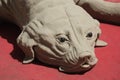 Realistic sand dog sculpture, detail view Royalty Free Stock Photo