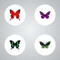 Realistic Sangaris, Beauty Fly, Tropical Moth And Other Vector Elements. Set Of Moth Realistic Symbols Also Includes