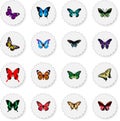 Realistic Sangaris, Birdwing, Morpho Hecuba And Other Vector Elements. Set Of Moth Realistic Symbols Also Includes Julia