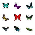 Realistic Sangaris, Tropical Moth, Morpho Hecuba And Other Vector Elements. Set Of Moth Realistic Symbols Also Includes