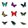 Realistic Sangaris, Tropical Moth, Morpho Hecuba And Other Vector Elements. Set Of Moth Realistic Symbols Also Includes Royalty Free Stock Photo
