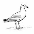 Realistic Seagull Sketch On White Background