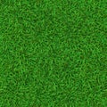 Realistic seamless green lawn. Grass carpet texture, fresh nature covering pattern, garden green grass and herbs meadow