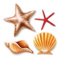 Vector realistic 3d sea shell, starfish set