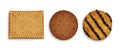 Realistic set of crispy cracker cookies