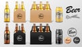 Realistic set of glass Beer bottle and Tin Can in paper packaging box isolated. Beer template Mockup for restaurant or Royalty Free Stock Photo