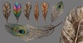 Realistic set with small and big multicolored bird feathers isolated on transparent background vector illustration Royalty Free Stock Photo