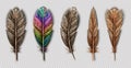 Realistic set with small and big multicolored bird feathers isolated on transparent background vector illustration Royalty Free Stock Photo