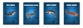 Shark Poster Set