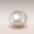 Realistic shiny natural white sea oyster pearl with light effects isolated on background with shadow