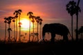 Realistic silhouette of Asian elephants among palm trees on tropical sunset background
