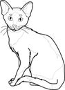 Realistic sitting cat sketch template. Cartoon graphic vector illustration in black and white