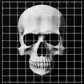 Realistic Skull Head In A Square Grid: High Contrast Composition