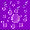 Realistic soap bubbles isolated on transparent background. Vector water foam bubbles Royalty Free Stock Photo