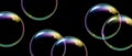 Realistic soap bubbles with rainbow reflection on black background. Vector water foam bubbles. Colorful iridescent glass sphere.